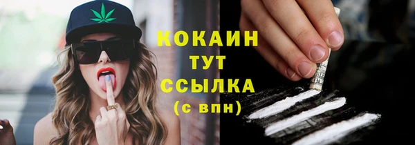 гашик Осташков