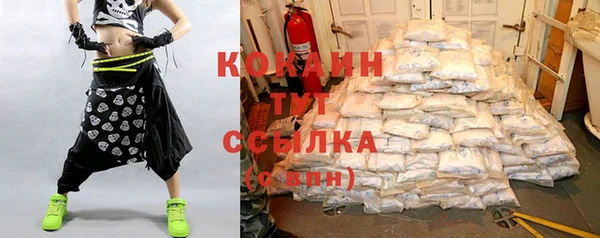 СК Осинники