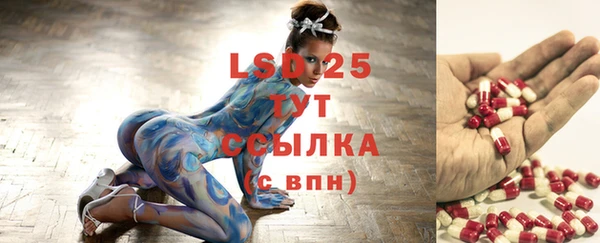 СК Осинники