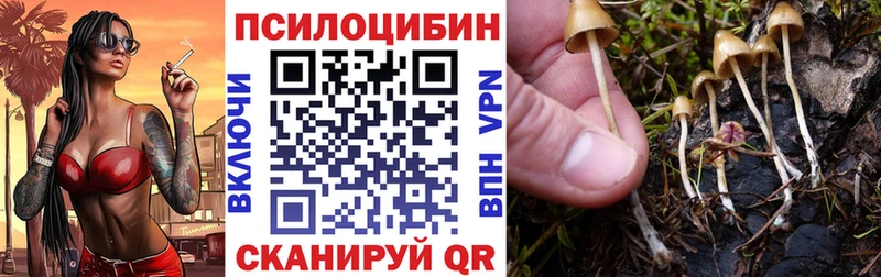 OMG ТОР  где можно купить   Руза  Галлюциногенные грибы Cubensis 