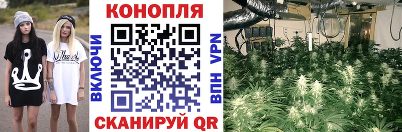 как найти наркотики  mega зеркало  Шишки марихуана Bruce Banner  Руза 